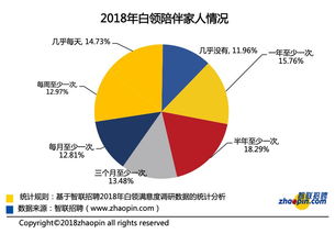 互聯網數據服務迎來智能化與精準化新篇章 199it引領行業變革