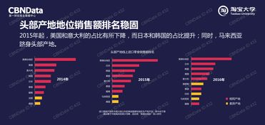 中國市場新趨勢 互聯網數據資訊中心199it的數據服務崛起